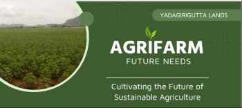  Agricultural Land for Sale in Yadagirigutta, Nalgonda