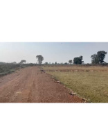 Residential Plot for Sale in Chakarbhatha, Bilaspur