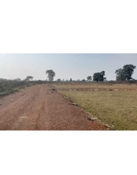 Residential Plot for Sale in Chakarbhatha, Bilaspur