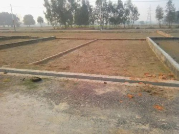  Residential Plot for Sale in Koni, Bilaspur