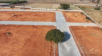  Residential Plot for Sale in Mopka, Bilaspur