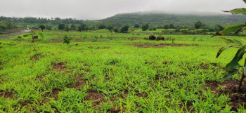  Residential Plot for Sale in Kota Road, Bilaspur