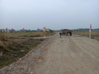  Residential Plot for Sale in Mopka, Bilaspur