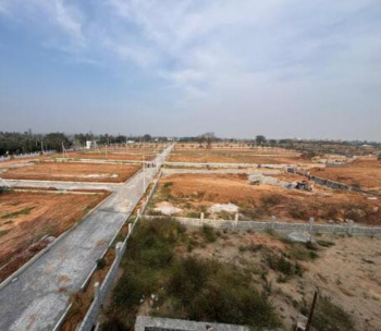  Residential Plot for Sale in Koni, Bilaspur