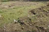  Residential Plot for Sale in Machilipatnam, Krishna