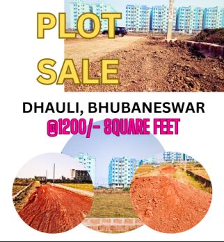  Residential Plot for Sale in Dhauli, Bhubaneswar