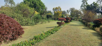 1 RK Farm House for Sale in Sohna Road, Gurgaon