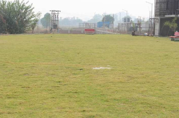  Residential Plot for Sale in Sector 24 Dharuhera