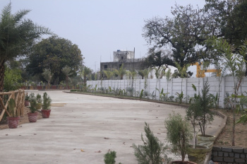  Residential Plot for Sale in Bilha, Bilaspur