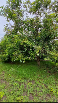  Agricultural Land for Sale in Melmaruvathur, Chennai