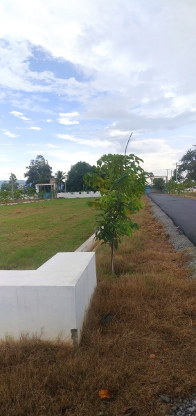  Residential Plot 1500 Sq.ft. for Sale in Renigunta, Tirupati