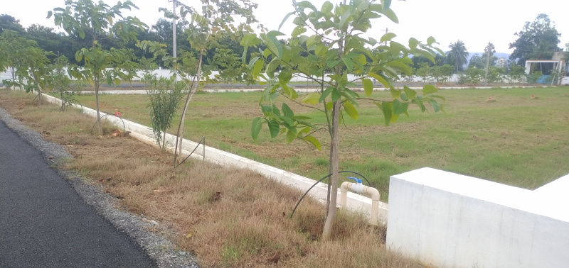  Residential Plot 1500 Sq.ft. for Sale in Renigunta, Tirupati