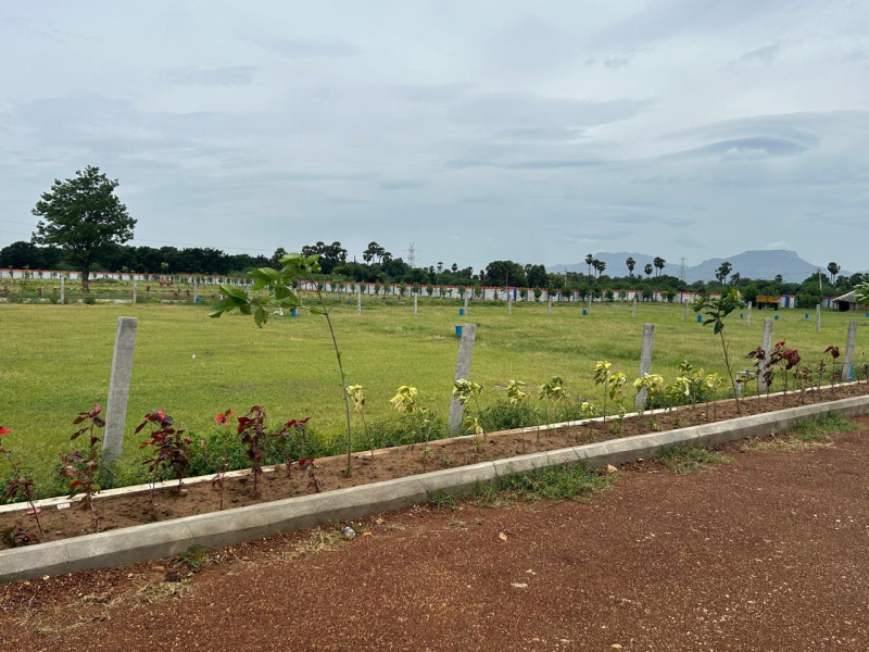  Residential Plot 1350 Sq.ft. for Sale in Renigunta, Tirupati