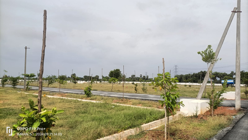  Residential Plot 1350 Sq.ft. for Sale in Renigunta, Tirupati