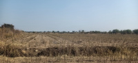  Agricultural Land for Sale in Chandur, Amravati