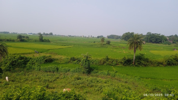  Residential Plot for Sale in Panchgachia, Asansol