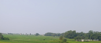  Residential Plot for Sale in Kanyapur, Asansol