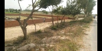  Agricultural Land for Sale in Gunnaur, Sambhal