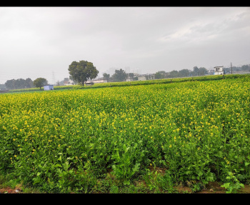  Agricultural Land for Sale in Sohna, Gurgaon