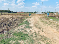  Residential Plot for Sale in Chirora, Patna