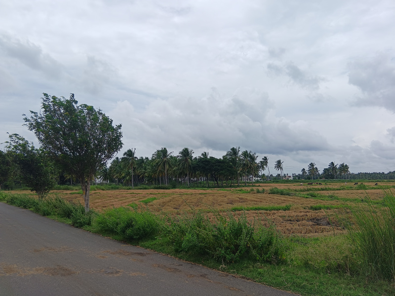  Residential Plot 4 Cent for Sale in Nagercoil, Kanyakumari