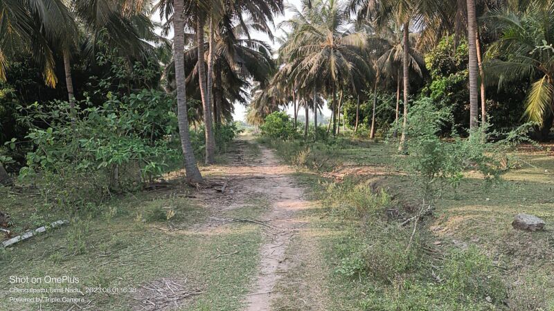  Agricultural Land 1200 Sq.ft. for Sale in Madhurandagam, Chennai