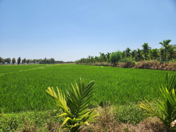  Agricultural Land for Sale in Harihar, Davanagere