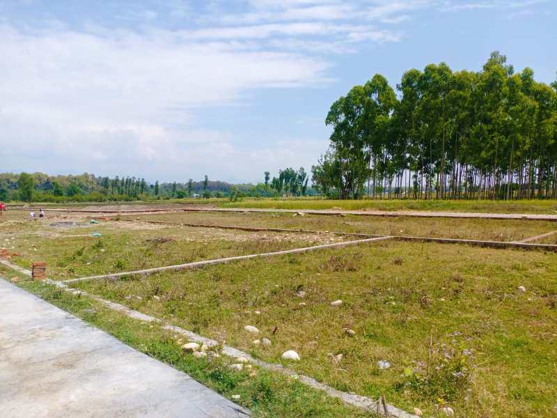 Agricultural Land 100 Sq. Yards for Sale in Ganeshpur, Dehradun