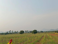 1 RK Flat for Sale in Mylavaram, Vijayawada