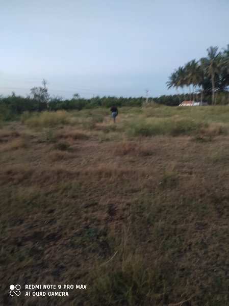  Agricultural Land 49 Cent for Sale in Pethappampatti, Tirupur