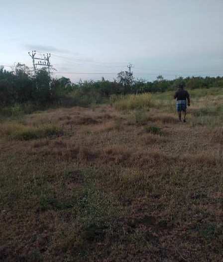  Agricultural Land 49 Cent for Sale in Pethappampatti, Tirupur