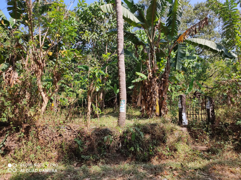Agricultural Land 25 Cent for Sale in Valarkkavu, Thrissur