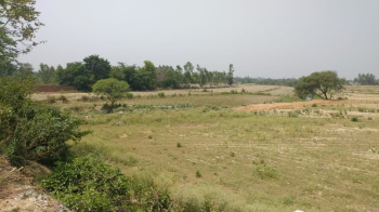  Agricultural Land for Sale in Nigoha, Lucknow