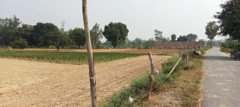  Agricultural Land for Sale in Nawabganj, Unnao