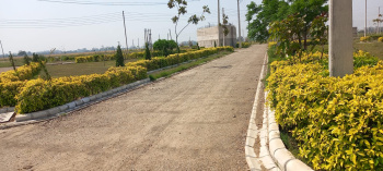  Residential Plot for Sale in Sector 23, Ambala