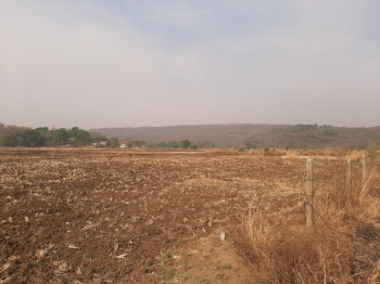  Agricultural Land for Sale in Uran, Raigad
