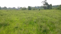 Residential Plot for Sale in Khopoli, Raigad