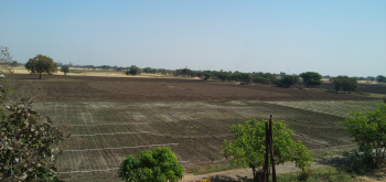  Agricultural Land for Sale in Silodarawal, Ujjain, Ujjain