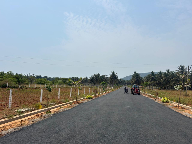  Residential Plot 1800 Sq. Yards for Sale in Tagarapuvalasa, Visakhapatnam