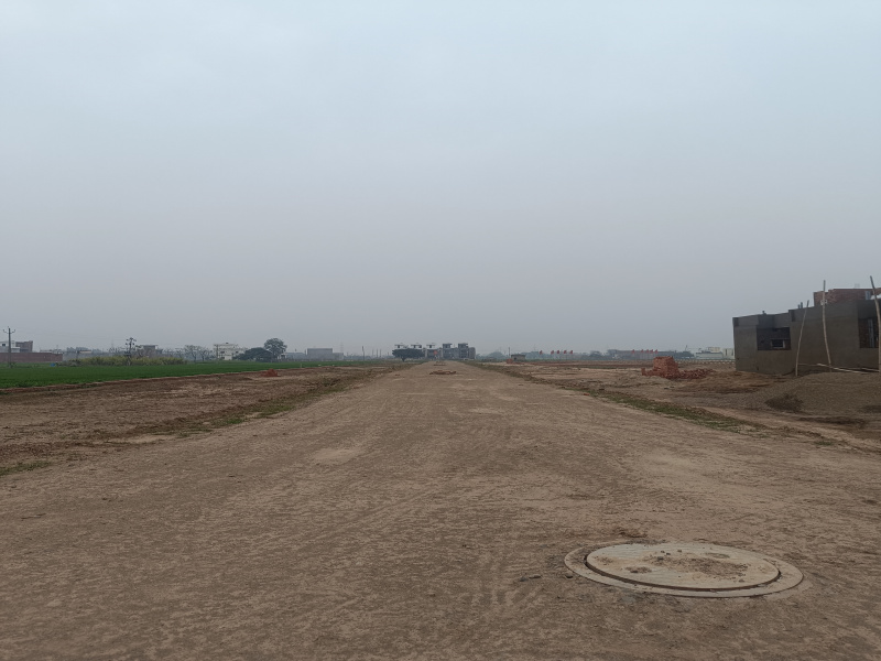  Residential Plot 900 Sq.ft. for Sale in Kharar, Mohali