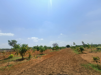  Residential Plot for Sale in Vayalur Road, Tiruchirappalli