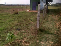  Agricultural Land for Sale in Sekkadu, Avadi, Chennai