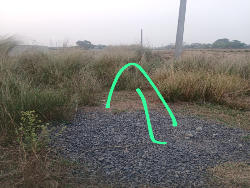  1742 Sq.ft. Residential Plot for Sale in Byasanagar, Jajapur