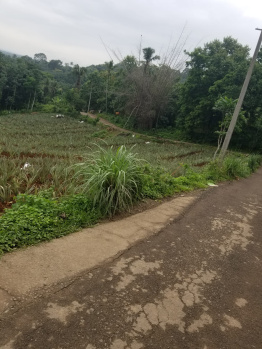 Agricultural Land for Sale in Muvattupuzha, Ernakulam