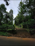  Agricultural Land for Sale in Yercaud, Salem