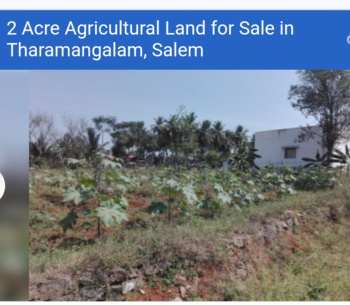  Agricultural Land for Sale in Tharamangalam, Salem