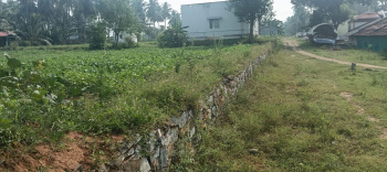  Residential Plot for Sale in Tharamangalam, Salem