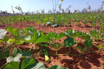  Agricultural Land for Sale in East Coast Road, Chennai