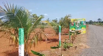 Agricultural Land for Sale in Marakkanam, Chennai