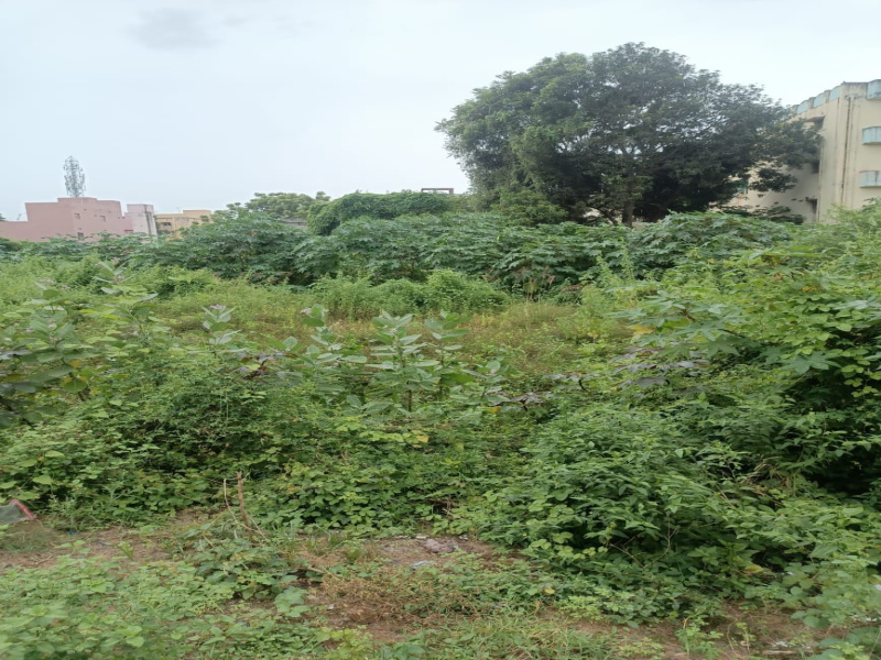  Residential Plot 1784 Sq.ft. for Sale in Basudev Nagar, Berhampur
